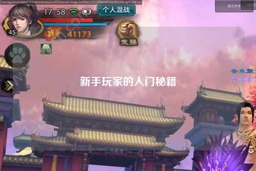 新手玩家的入門秘籍