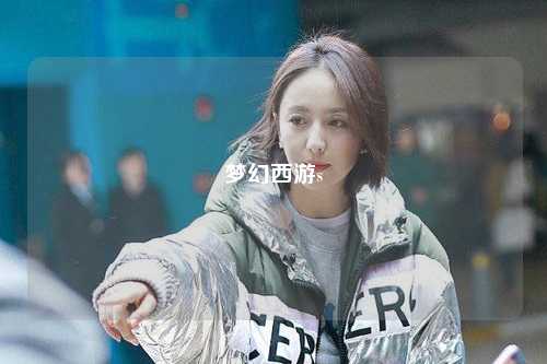 夢(mèng)幻西游s