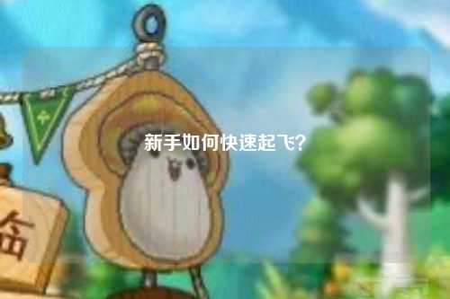 新手如何快速起飛？