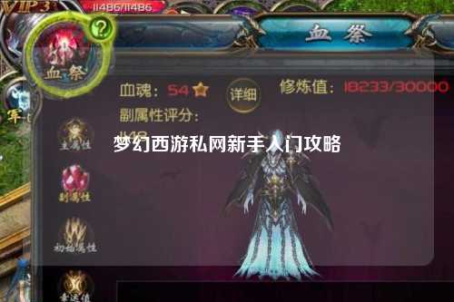 夢幻西游私網(wǎng)新手入門攻略