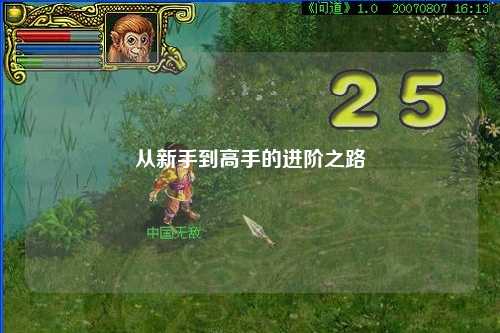 從新手到高手的進(jìn)階之路