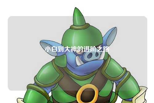 小白到大神的進(jìn)階之路