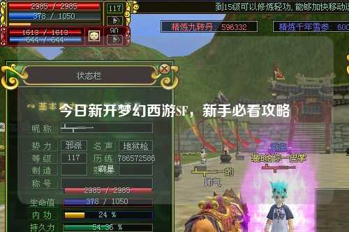 今日新開夢幻西游SF，新手必看攻略