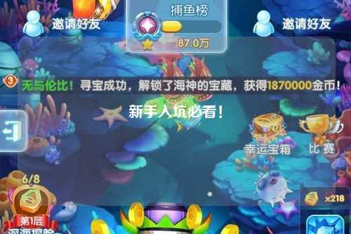 新手入坑必看！