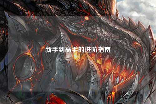 新手到高手的進(jìn)階指南