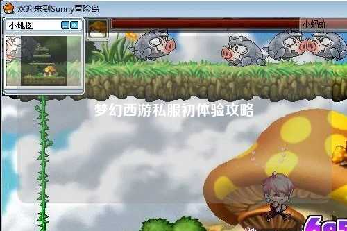 夢(mèng)幻西游私服初體驗(yàn)攻略