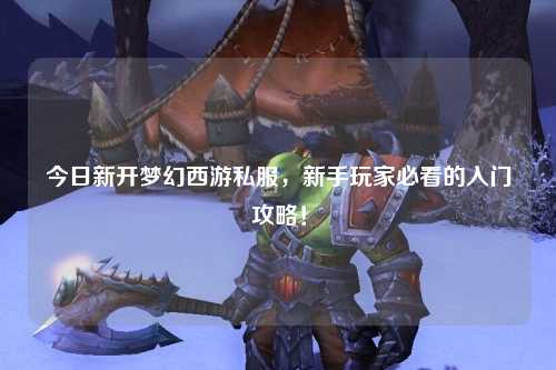 今日新開(kāi)夢(mèng)幻西游私服，新手玩家必看的入門(mén)攻略！